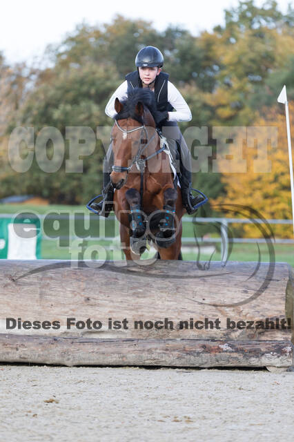IGV Lehrgang der Sieger der Cups mit Frank Ostholt