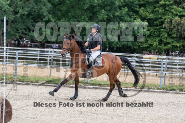 Late-Entry-Vielseitigkeit Langenfeld (11.+13./14.06.2020)