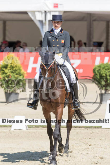 FEI European Championship Eventing 2017