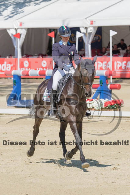 FEI European Championship