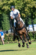 Kronenberg - De Peelbergen (August 2020)