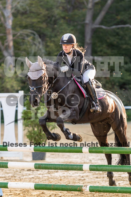 RFV Dinslaken-Hiesfeld (Herbstturnier)