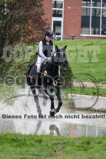 Goldene Schärpe 2020 - Pferde