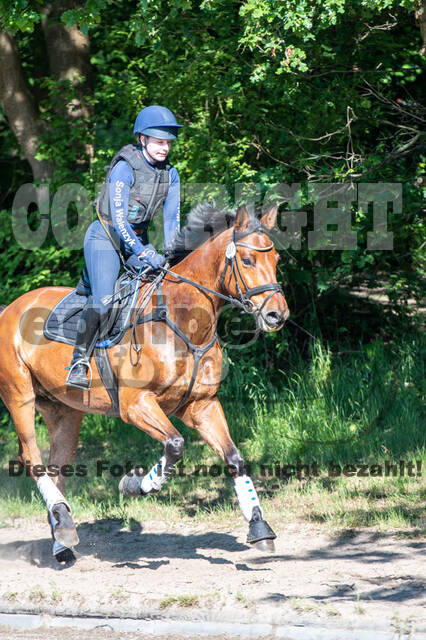 Test of Choise Langenfeld (29.+30.05.2021)