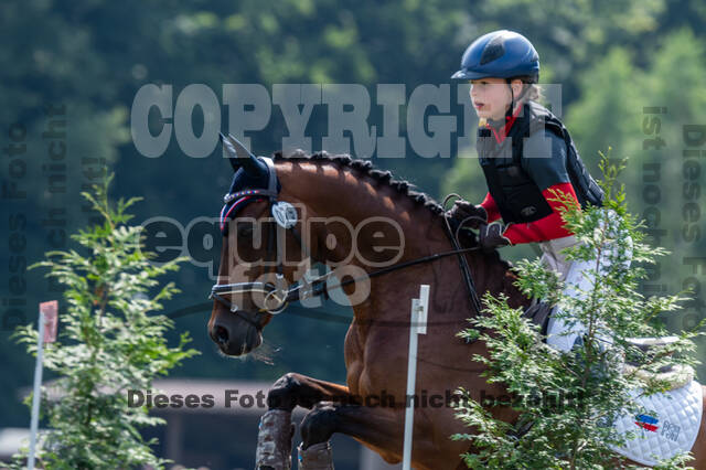 Goldene Schärpe 2021 - Ponys