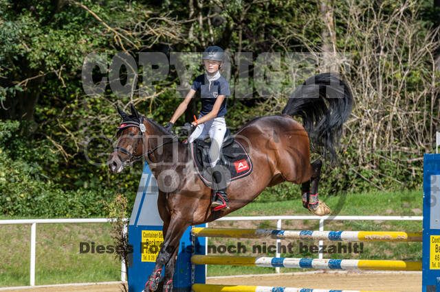 RFV Dinslaken-Hiesfeld (Herbstturnier)