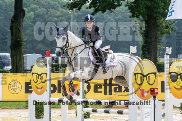 Goldene Schärpe 2021 - Ponys