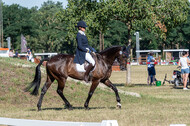 Kronenberg - De Peelbergen (August 2020)