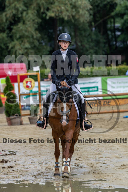 Goldene Schärpe 2021 - Ponys