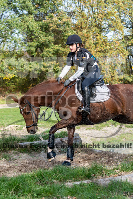 IGV Lehrgang der Sieger der Cups mit Frank Ostholt