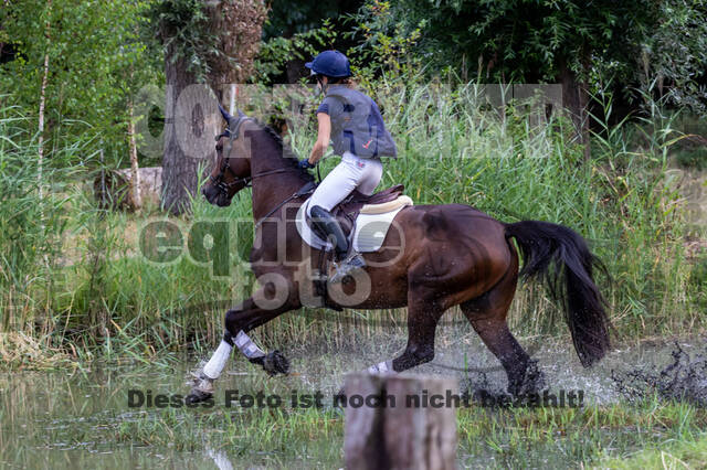 Late-Entry Vielseitigkeit Hamminkeln/Wesel (01.+02.08.2020)