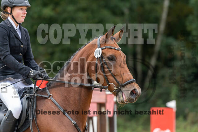 Vielseitigkeit RSV Wesel Obrighoven (26.+27.09.2020)