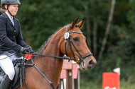 Vielseitigkeit RSV Wesel Obrighoven (26.+27.09.2020)