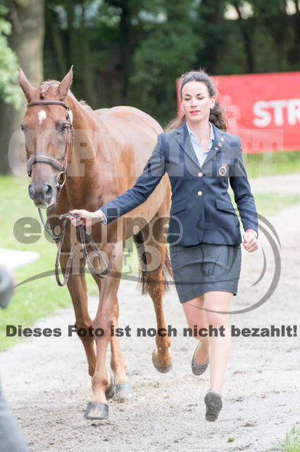 FEI European Championship Eventing 2017