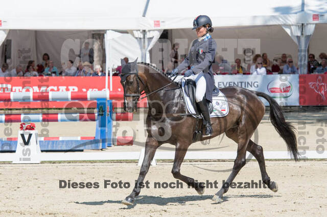 FEI European Championship