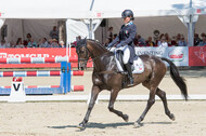 FEI European Championship