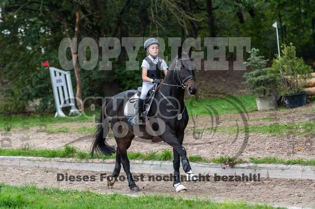 Goldene Schärpe 2020 - Pferde