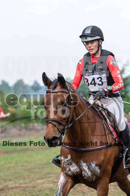 De Peelbergen (August 2020)