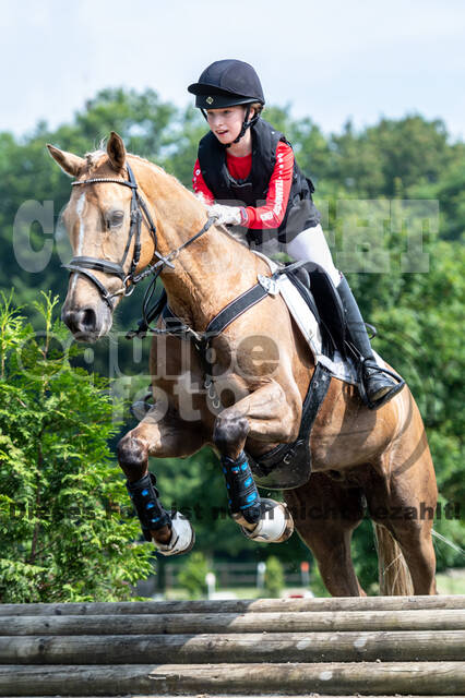 Goldene Schärpe 2021 - Ponys