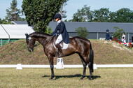 Kronenberg - De Peelbergen (August 2020)