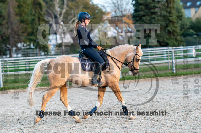 IGV Lehrgang der Sieger der Cups mit Frank Ostholt