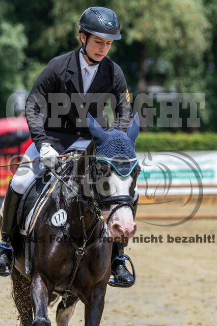 Goldene Schärpe 2021 - Ponys