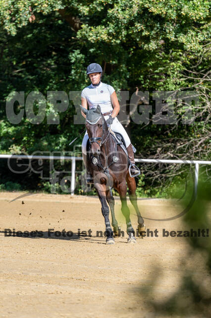RFV Dinslaken-Hiesfeld (Herbstturnier)