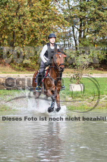 IGV Lehrgang der Sieger der Cups mit Frank Ostholt