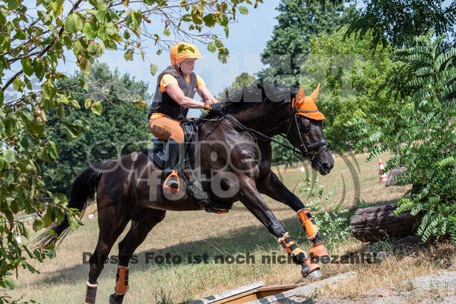 Hunter Geländetraining (16.08.2020)