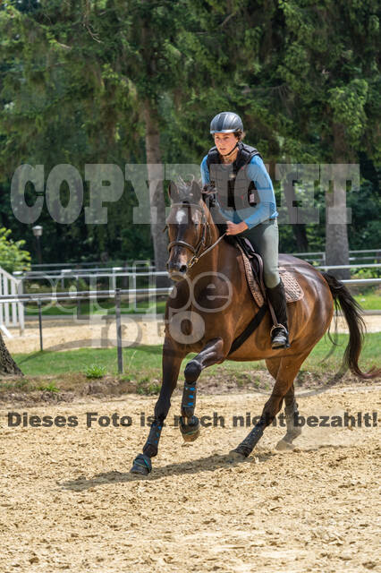 Hunter Geländetraining 10.07.2021 (Sonsbeck)