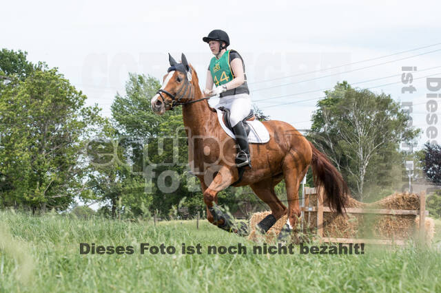 Vielseitigkeitsturnier ZRuFV von Lützow Hamminkeln