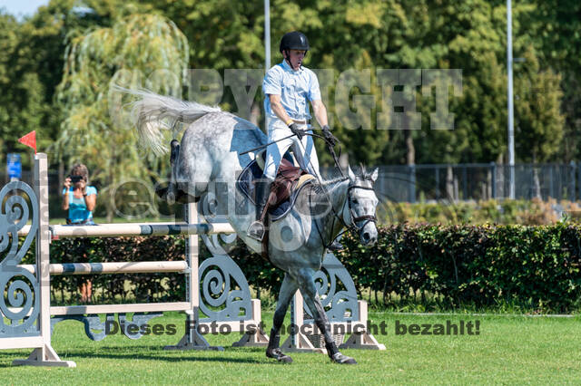 Kronenberg - De Peelbergen (August 2020)