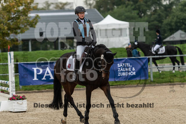 Goldene Schärpe 2020 - Pferde