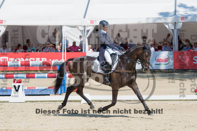 FEI European Championship