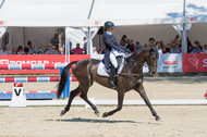 FEI European Championship
