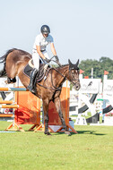 Kronenberg - De Peelbergen (August 2020)