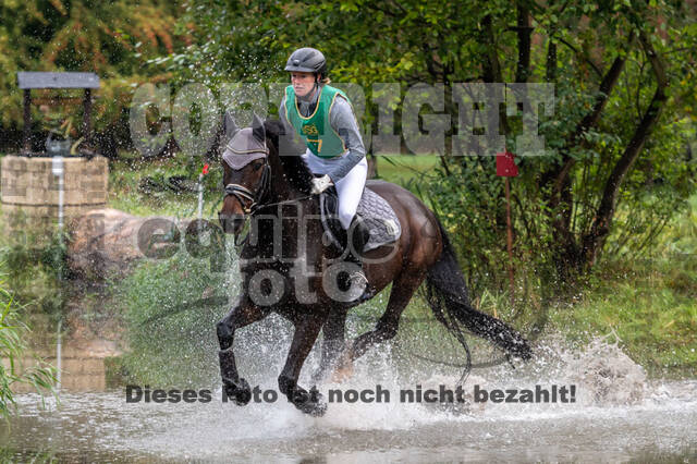 Vielseitigkeit RSV Wesel Obrighoven (26.+27.09.2020)