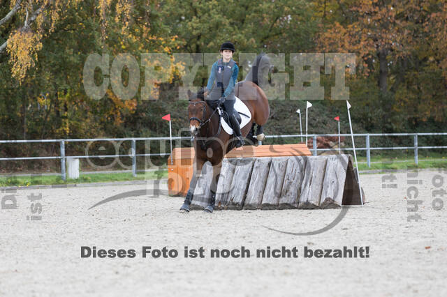 IGV Lehrgang der Sieger der Cups mit Frank Ostholt