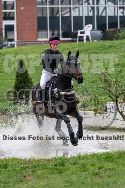 Goldene Schärpe 2020 - Pferde