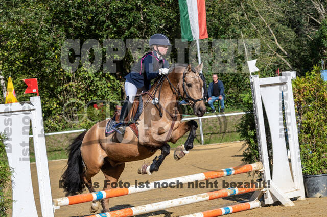 RFV Dinslaken-Hiesfeld (Herbstturnier)