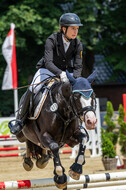 Goldene Schärpe 2021 - Ponys
