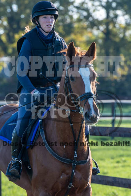 Vielseitigkeitslehrgang mit Jürg Kurbel (9.+10.11.2019)
