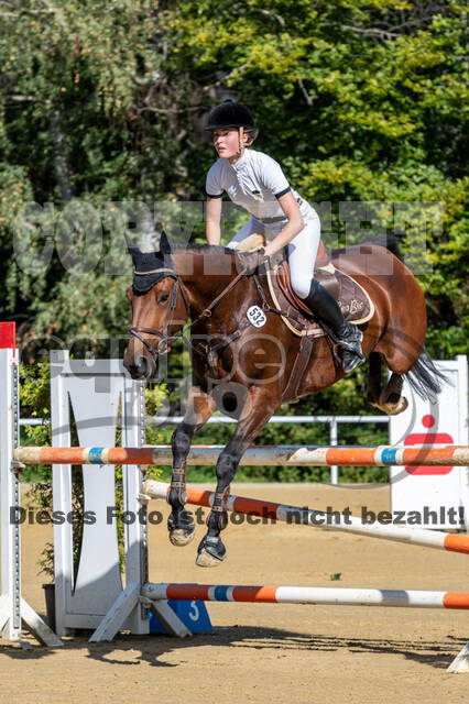 RFV Dinslaken-Hiesfeld (Herbstturnier)