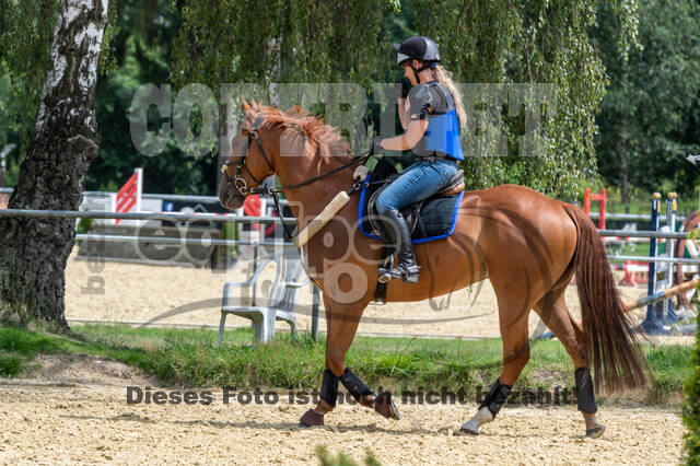 Hunter Geländetraining 10.07.2021 (Sonsbeck)
