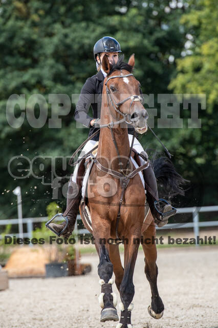 Landesturnier Rheinland, Vielseitigkeit, 22.+23.08.2020