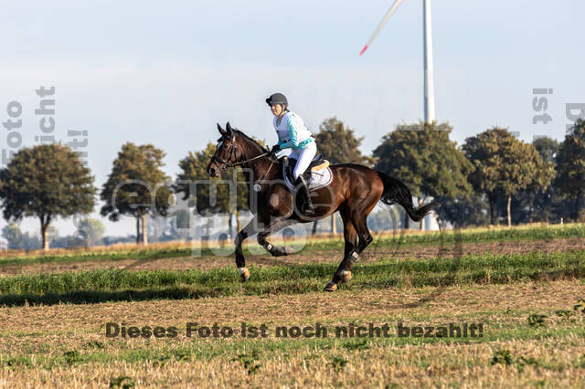 IGV Kleve - Vielseitigkeitsturnier