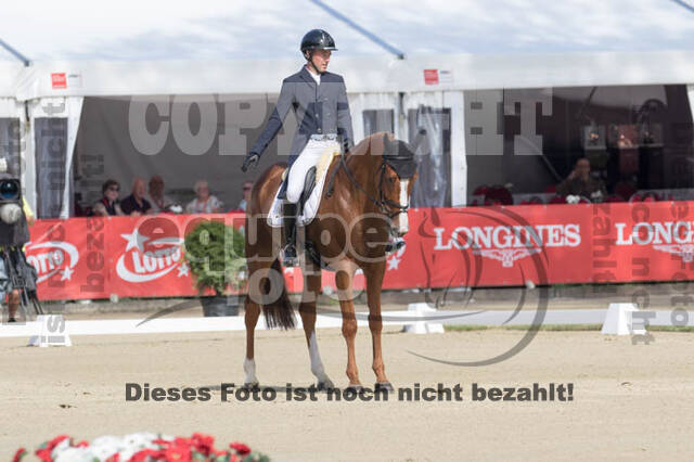 FEI European Championship Eventing 2017