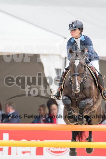 FEI European Championship