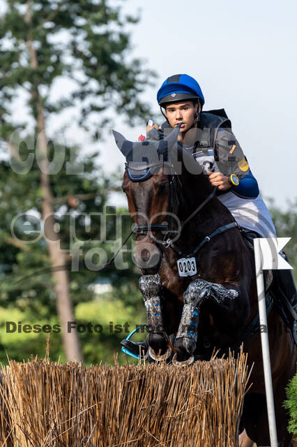 De Peelbergen (August 2020)