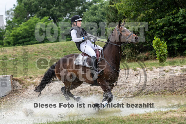 Late-Entry-Vielseitigkeit Langenfeld (11.+13./14.06.2020)